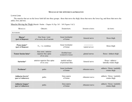 The Muscles That Act on the Lower Limb Fall Into Three Groups: Those That Move the Thigh, Those That Move the Lower Leg, and Those That Move the Ankle, Foot, and Toes