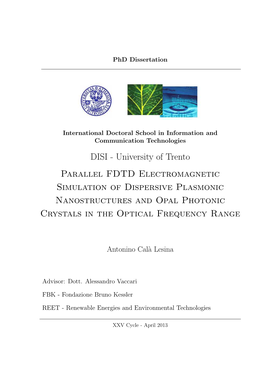 University of Trento Parallel FDTD Electromagnetic Simulation of Dispersive Plasmonic Nanostructures and Opal Photonic Crystals in the Optical Frequency Range