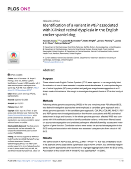 Identification of a Variant in NDP Associated with X-Linked Retinal Dysplasia in the English Cocker Spaniel Dog