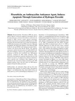 Pirarubicin, an Anthracycline Anticancer Agent, Induces