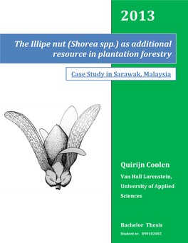 The Illipe Nut (Shorea Spp.) As Additional Resource in Plantation Forestry