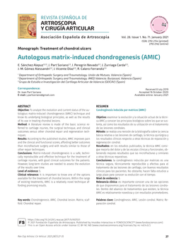 Autologous Matrix-Induced Chondrogenesis (AMIC) E