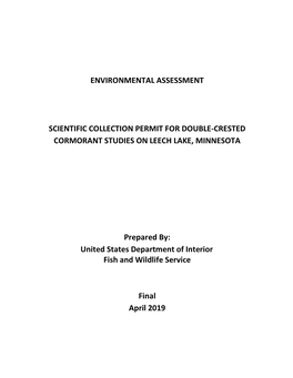 Environmental Assessment