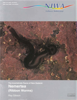 Nemertea (Ribbon Worms)