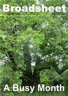 The Newsletter for Broadland Tree Wardens