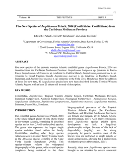 Five New Species of Jaspidiconus Petuch, 2004 (Conilithidae: Conilithinae) from the Caribbean Molluscan Province