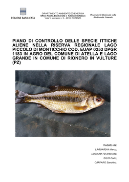 Ok Piano Di Controllo Pesca Lago Piccolo Di Monticchio