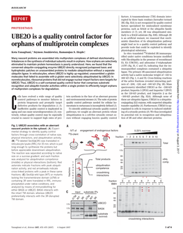 UBE2O Is a Quality Control Factor for Orphans of Multi-Protein Complexes