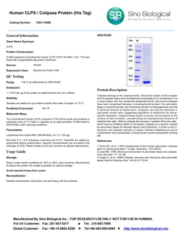 Human CLPS / Colipase Protein (His Tag)