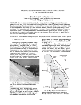 Faceting Above Crusts and Associated Slab Avalanching in the Columbia Mountains