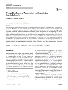 A Crispy Diet: Grazers of Achromatium Oxaliferum in Lake Stechlin Sediments