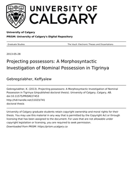 A Morphosyntactic Investigation of Nominal Possession in Tigrinya