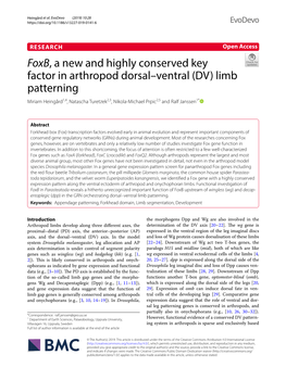 Foxb, a New and Highly Conserved Key Factor in Arthropod Dorsal–Ventral (DV) Limb Patterning