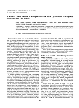 Arole of Cofilin/Destrin in Reorganization of Actin