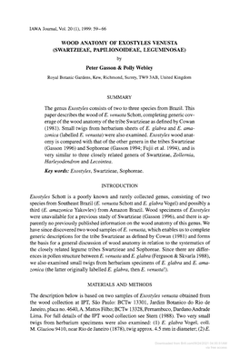 WOOD ANATOMY of EXOSTYLES VENUSTA (SWARTZIEAE, PAPILIONOIDEAE, LEGUMINOSAE) by Peter Gasson & Polly Webley