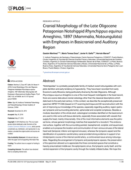 (Mammalia, Notoungulata) with Emphases in Basicranial and Auditory Region