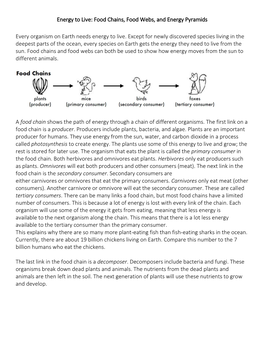 Food Chains, Food Webs, and Energy Pyramids Every Organism on Earth