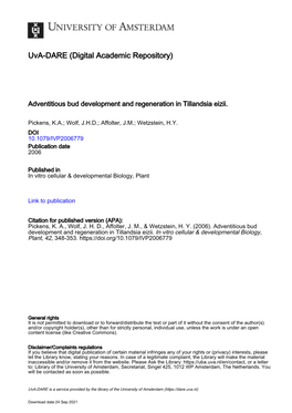 Adventitious Bud Development and Regeneration in Tillandsia Eizii