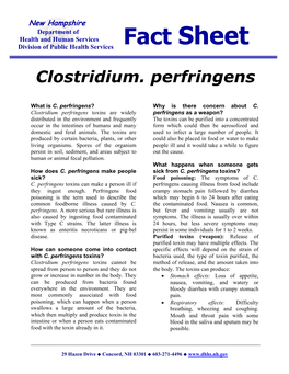 Clostridium Perfringens