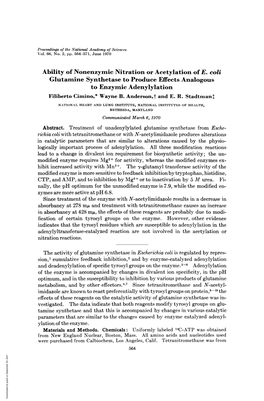 Ability of Nonenzymic Nitration Or Acetylation of E. Coli Glutamine Synthetase to Produce Effects Analogous to Enzymic Adenylylation Filiberto Cimino,* Wayne B