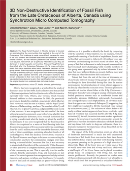 3D Non-Destructive Identification of Fossil Fish from the Late