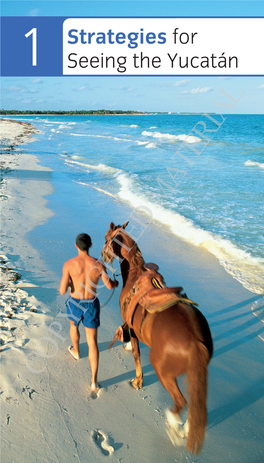 The Yucatán Is Home to Pearl-White Beaches and Deep Green