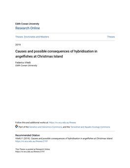 Causes and Possible Consequences of Hybridisation in Angelfishes at Christmas Island
