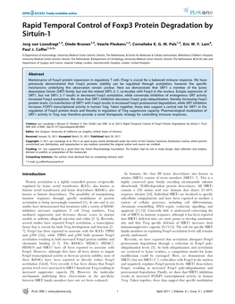 Rapid Temporal Control of Foxp3 Protein Degradation by Sirtuin-1