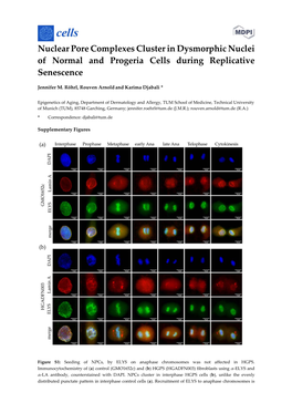 Nuclear Pore Complexes Cluster in Dysmorphic Nuclei of Normal and Progeria Cells During Replicative Senescence