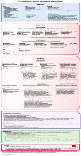 Care Step Pathway – Thyroiditis (Inflammation of the Thyroid Gland)