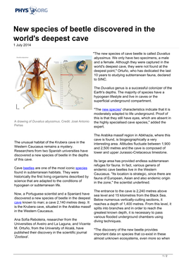 New Species of Beetle Discovered in the World's Deepest Cave 1 July 2014