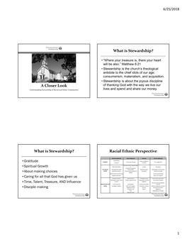 What Is Stewardship? Racial Ethnic Perspective