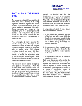 FOOD ACIDS in the HUMAN BODY and Krebs Cycle