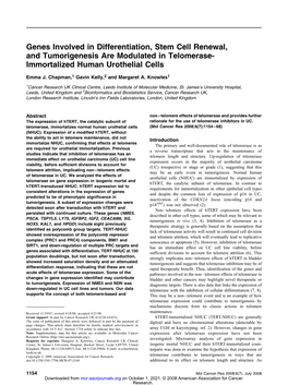 Genes Involved in Differentiation, Stem Cell Renewal, and Tumorigenesis Are Modulated in Telomerase- Immortalized Human Urothelial Cells