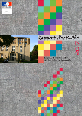 Rapport D'activités