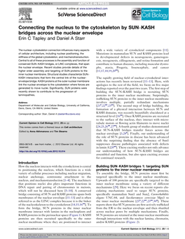 Connecting the Nucleus to the Cytoskeleton by SUN–KASH