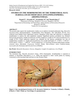 Stylommatophora: Ariophantidae