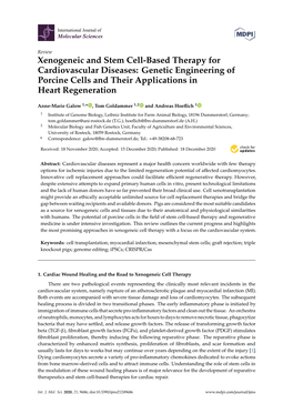 Xenogeneic and Stem Cell-Based Therapy for Cardiovascular Diseases: Genetic Engineering of Porcine Cells and Their Applications in Heart Regeneration