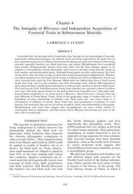 Chapter 4 the Antiquity of Rhizomys and Independent Acquisition of Fossorial Traits in Subterranean Muroids