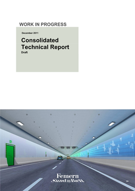 Consolidated Technical Report Draft