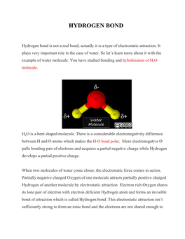 Hydrogen Bond