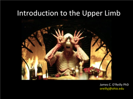 Introduction to the Upper Limb