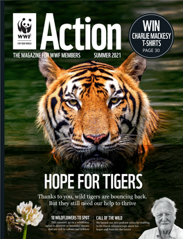 Action-Mag-Summer-2021.Pdf (Wwf.Org.Uk)