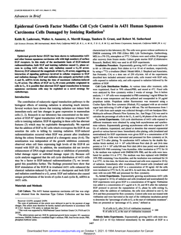 Epidermal Growth Factor Modifies Cell Cycle Control in A431 Human Squamous Carcinoma Cells Damaged by Ionizing Radiation1