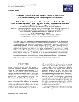 Capturing, Induced Spawning, and First Feeding of Wild-Caught Pseudopimelodus Mangurus, an Endangered Catfish Species