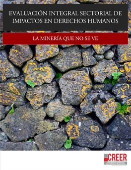 Evaluación Integral Sectorial De Impactos En Derechos Humanos