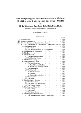 The Morphology of the Nudibranchiate Mollusc Melibe (Syn. Chioraera) Leonina (Gould) by H