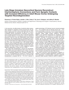 Late-Stage Immature Neocortical Neurons Reconstruct