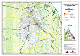 Banana Stock Route Network Classification