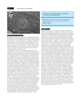 Hypertension and the Kidney